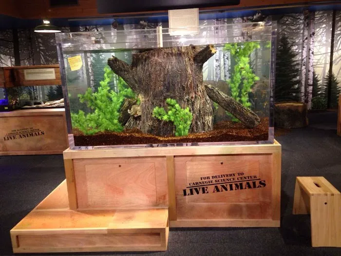 Aquarium Artisans Picture 6