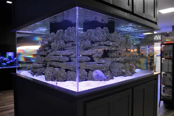 Aquarium Artisans Picture 5