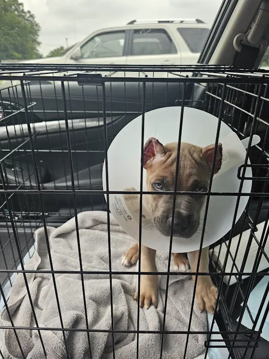 Town & Country Veterinary Services Picture 2