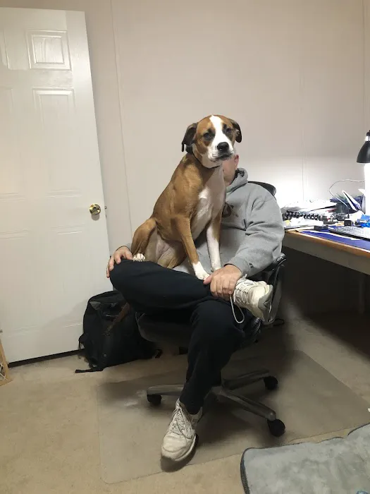 Cumberland Animal Hospital Picture 4