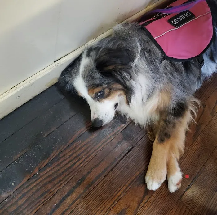 Cumberland Animal Hospital Picture 7
