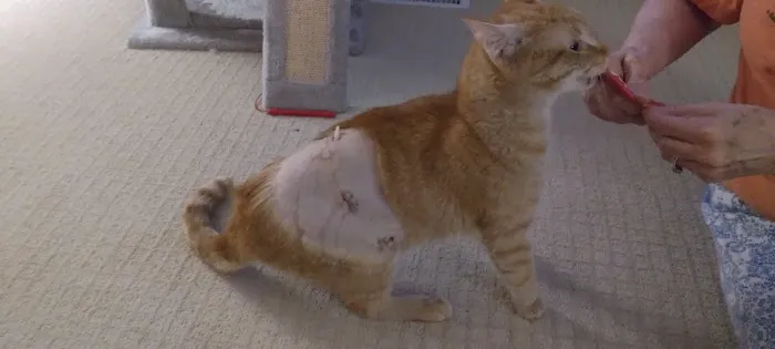 Cumberland Animal Hospital Picture 6