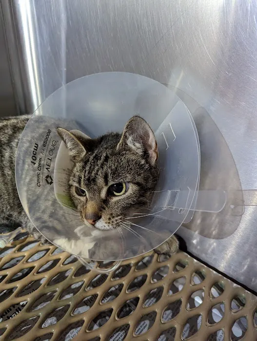 Cumberland Animal Hospital Picture 9