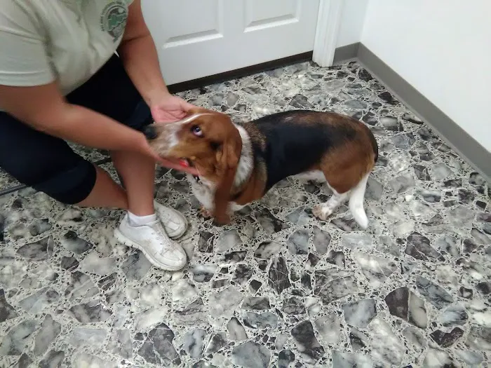 Animal Care Veterinary Center Picture 4