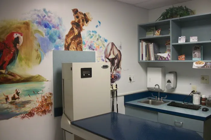 East Side Animal Hospital, A Thrive Pet Healthcare Partner Picture 3