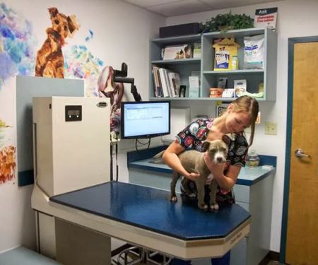 East Side Animal Hospital, A Thrive Pet Healthcare Partner
