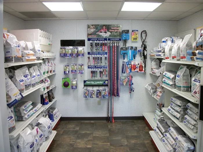 East Side Animal Hospital, A Thrive Pet Healthcare Partner Picture 7