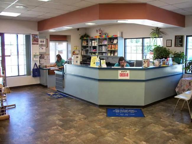 East Side Animal Hospital, A Thrive Pet Healthcare Partner Picture 6