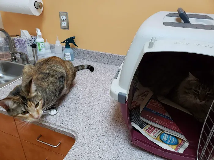 Oak Hill Animal Hospital Picture 4