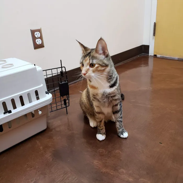 Oak Hill Animal Hospital Picture 9