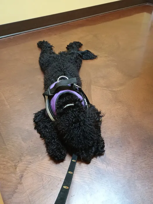Oak Hill Animal Hospital Picture 5