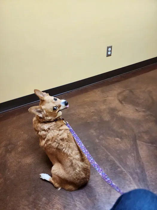 Oak Hill Animal Hospital Picture 2