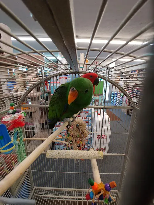 E & L Pets Picture 1