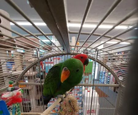 E & L Pets