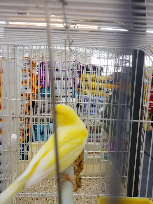 E & L Pets Picture 10