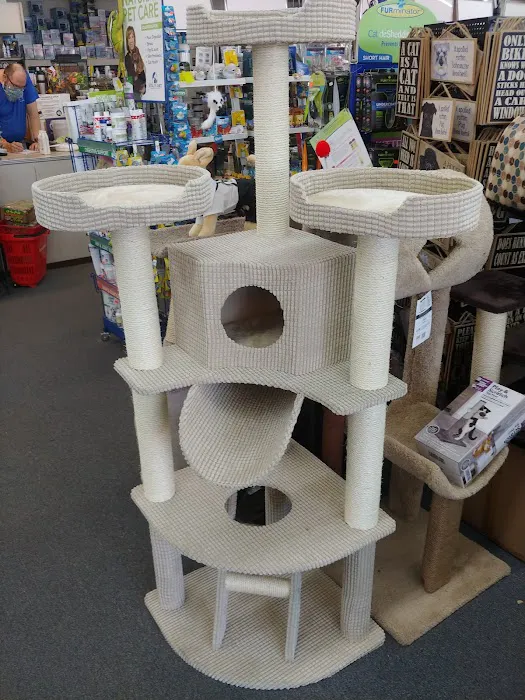 E & L Pets Picture 2
