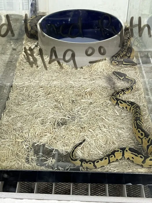 E & L Pets Picture 3