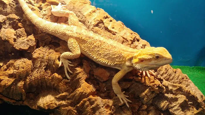 E & L Pets Picture 4