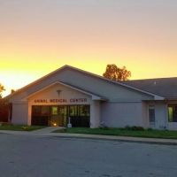 Animal Medical Center ico