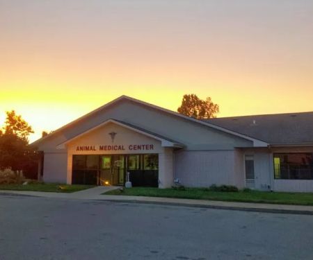 Animal Medical Center