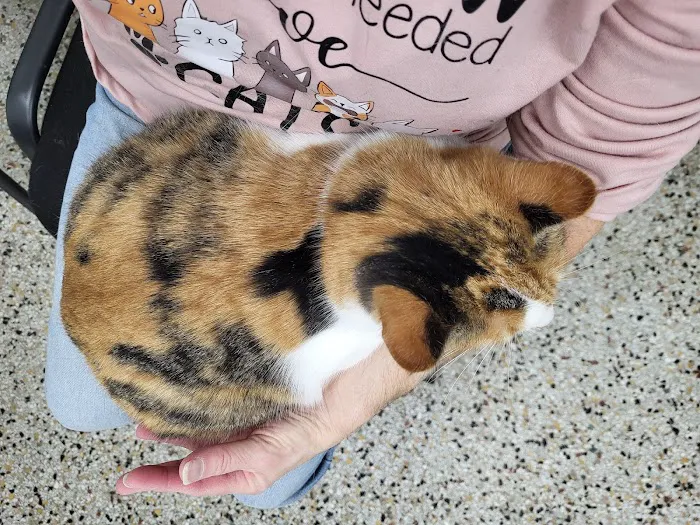 Animal Medical Center Picture 8