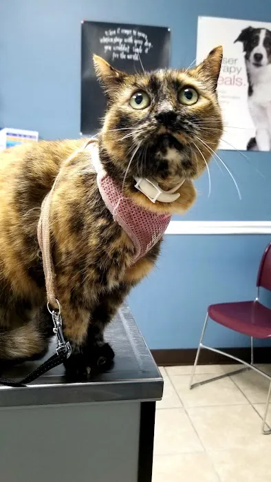 Tender Care Veterinary Clinic Picture 5