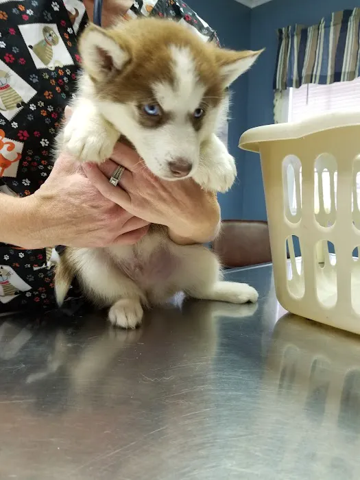 Tender Care Veterinary Clinic Picture 3