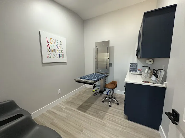 PAWSH Premier Animal Wellness & Surgery Hospital: Dr. Adrienne Price DVM Picture 4