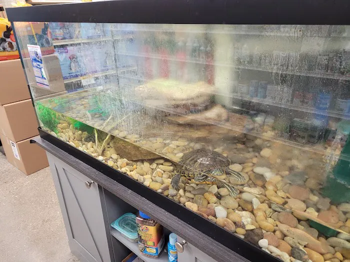 Feeders Pet Supply Picture 4