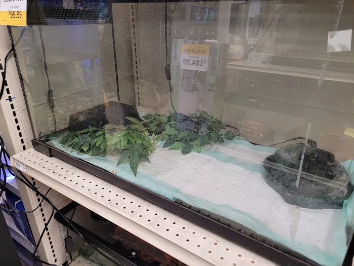 Feeders Pet Supply Picture 8