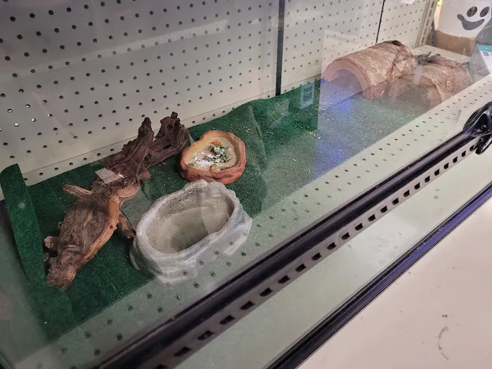 Feeders Pet Supply Picture 1