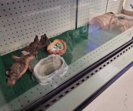 Feeders Pet Supply