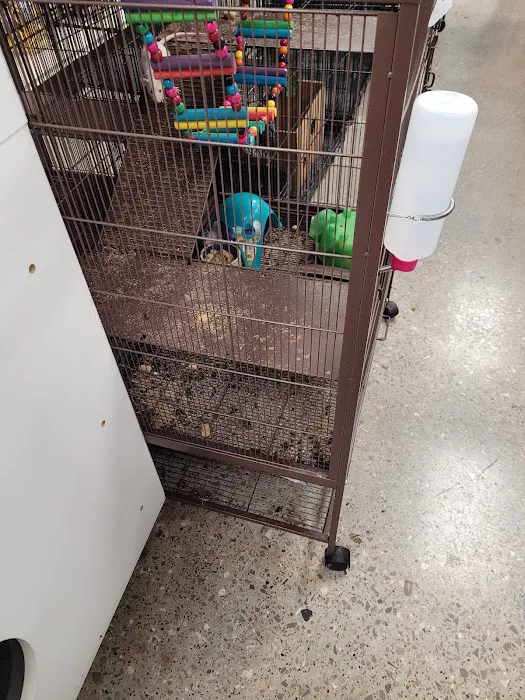 Feeders Pet Supply Picture 3