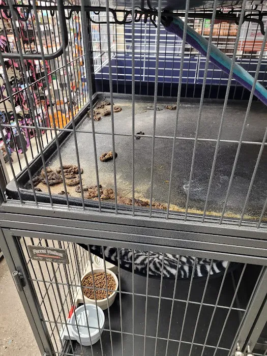 Feeders Pet Supply Picture 10