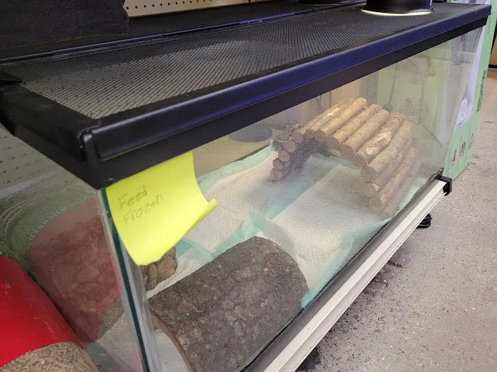 Feeders Pet Supply Picture 7