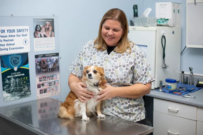 By Pass Animal Clinic Picture 2