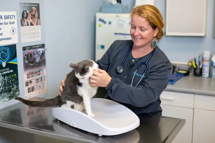 By Pass Animal Clinic Picture 1