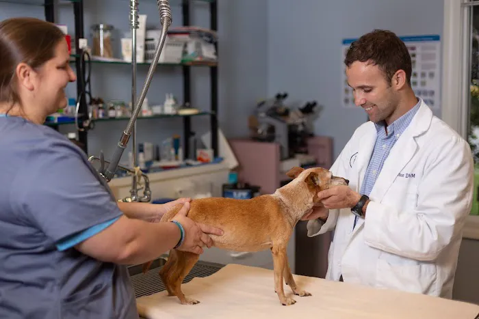 By Pass Animal Clinic Picture 3