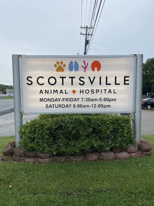 Scottsville Animal Hospital Picture 8