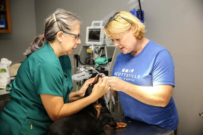 Scottsville Animal Hospital Picture 1