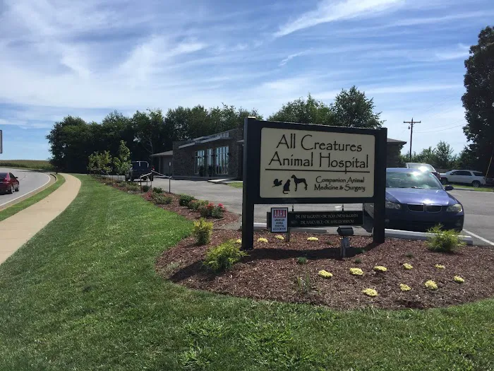 All Creatures Animal Hospital Picture 7