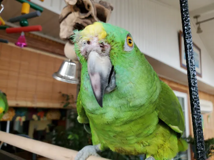 All Creatures Animal Hospital Picture 6