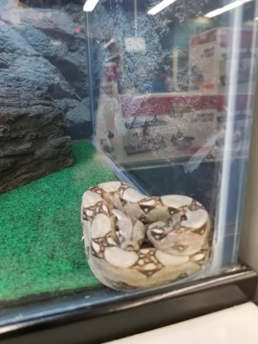 Petco Picture 6