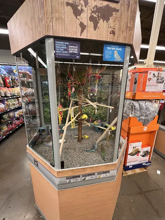 Petco Picture 4