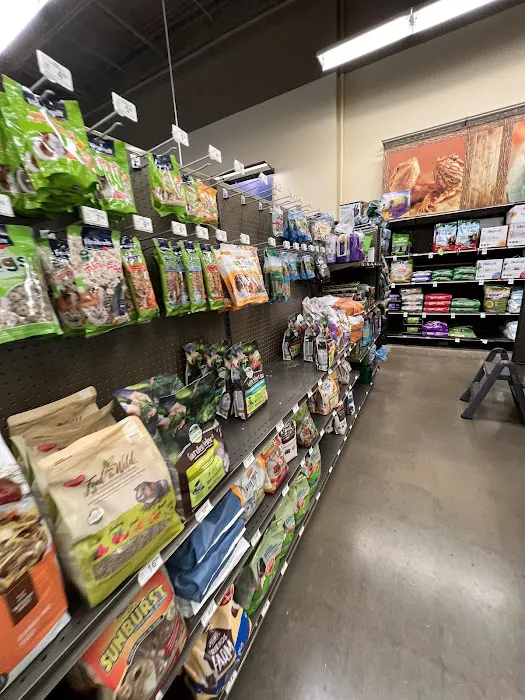 Petco Picture 5