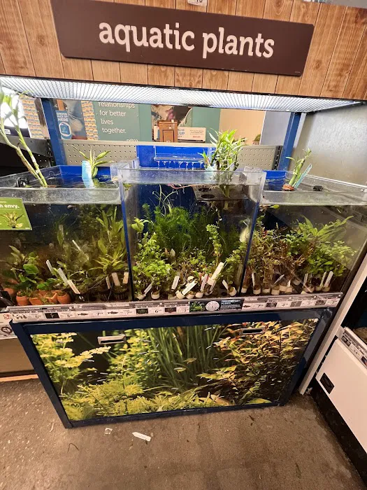Petco Picture 8