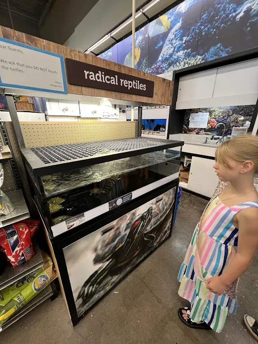 Petco Picture 2