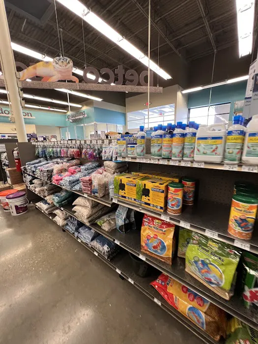 Petco Picture 7