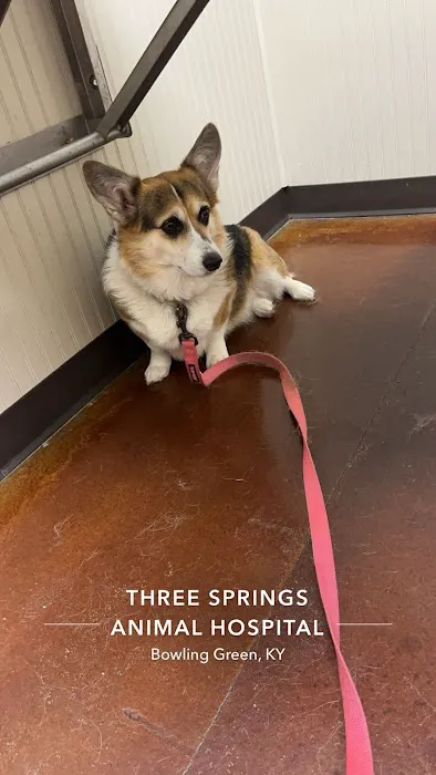 Three Springs Animal Hospital Picture 2