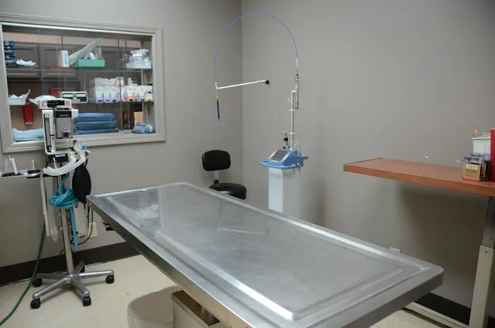 Snodgrass Veterinary Medical Center Picture 1